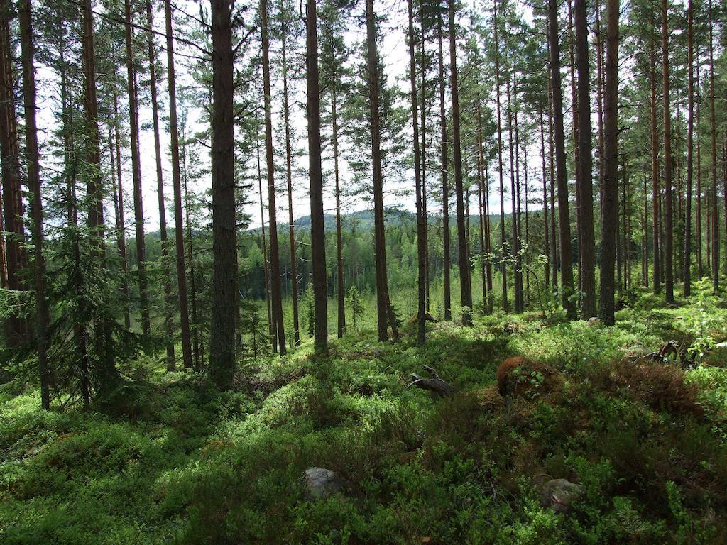 Hovra Vandrarhem Havra Экстерьер фото