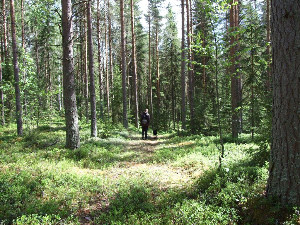 Hovra Vandrarhem Havra Экстерьер фото