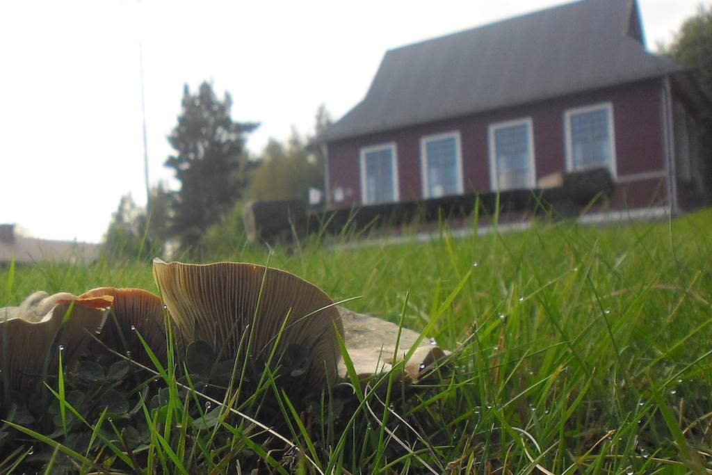Hovra Vandrarhem Havra Экстерьер фото